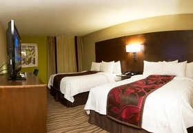 Fairfield Inn & Suites Dallas DFW Airport South/Irving