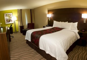 Fairfield Inn & Suites Dallas DFW Airport South/Irving