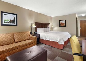 Hampton Inn Dallas/Las Colinas