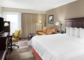 Hampton Inn Dallas/Las Colinas