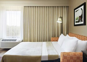Hampton Inn Dallas/Las Colinas