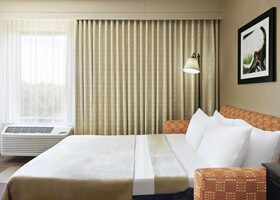 Hampton Inn Dallas/Las Colinas