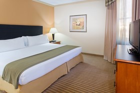 Holiday Inn Express Hotel & Suites DFW North