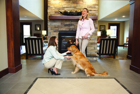 Sonesta ES Suites Dallas - Las Colinas
