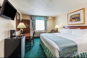 Super 8 by Wyndham Irving DFW Airport/South