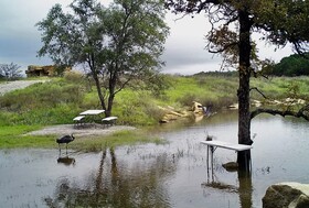 Lake Godstone™