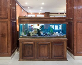 Comfort Inn & Suites Houston West-Katy