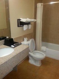 Palace Inn Katy Mills