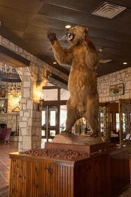 YO Ranch Resort Hotel and Conference Center