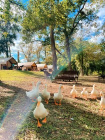 Son's Blue River Camp