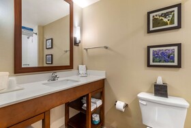 Comfort Suites
