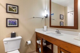 Comfort Suites