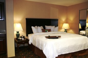 Hampton Inn Waco
