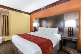 Comfort Suites Lake Jackson Clute