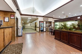 Comfort Suites Lake Jackson Clute