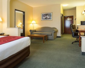 Comfort Suites La Porte