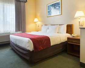 Comfort Suites La Porte