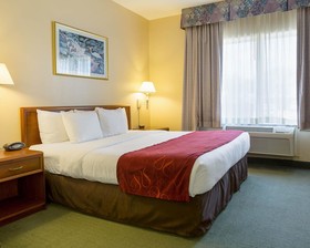Comfort Suites La Porte
