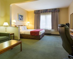 Comfort Suites La Porte