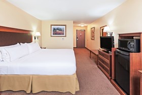 Holiday Inn Express Hotel & Suites Laredo - Event Center Area