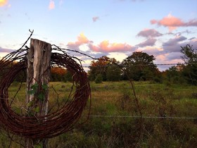 Night Bird Ranch