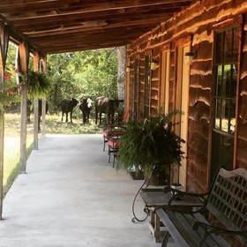 Night Bird Ranch