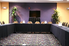 Hampton Inn and Suites Dallas/Lewisville-Vista Ridge Mall
