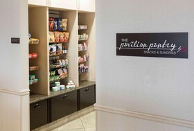 Hilton Garden Inn Dallas Lewisville