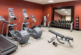 Hilton Garden Inn Dallas Lewisville
