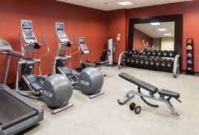 Hilton Garden Inn Dallas Lewisville
