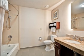 Homewood Suites Dallas Lewisville