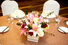 Hilton Garden Inn San Antonio-Live Oak Conference Center