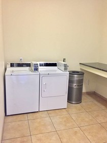 Best Western Lockhart Hotel & Suites