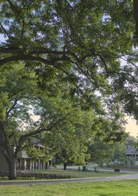 Hyatt Regency Lost Pines Resort and Spa