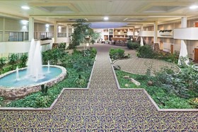 Hotel Ava