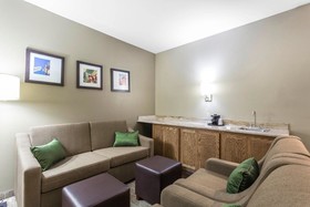 Comfort Suites University