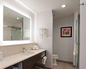 Hampton Inn & Suites Lubbock University