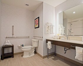 Hampton Inn & Suites Lubbock University