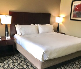 Holiday Inn Express & Suites South