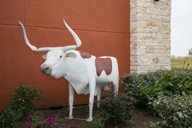 Best Western Plus Longhorn Inn & Suites
