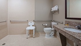 Best Western Plus Mansfield Inn & Suites