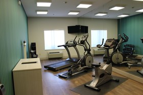 Holiday Inn Express Hotel & Suites Mansfield