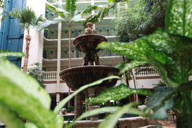 DoubleTree Suites by Hilton Hotel McAllen