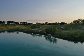 Blue Hills Ranch