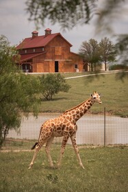 Blue Hills Ranch