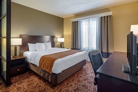 Comfort Suites Mckinney