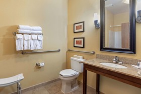 Comfort Suites Mckinney