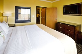 Holiday Inn Hotel & Suites Mckinney-Fairview