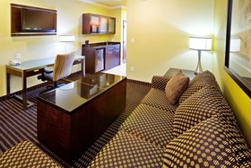 Holiday Inn Hotel & Suites Mckinney-Fairview