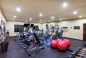 Holiday Inn Hotel & Suites Mckinney-Fairview